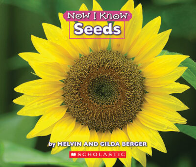 Now I Know: Seeds