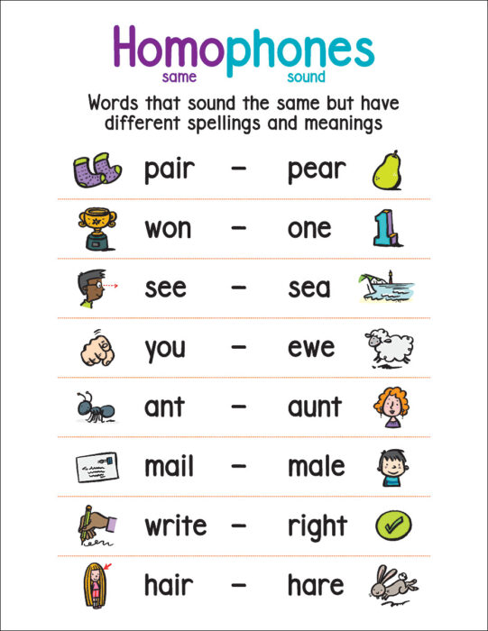 Anchor Chart Homophones by