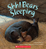 Shh! Bears Sleeping
