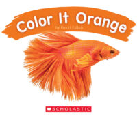 Color It Orange