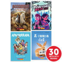 My Books Summer Spanish Grade 5 Fiction - Classroom Set