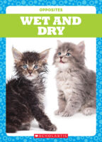 Opposites: Wet and Dry
