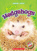 Blastoff! Readers - Super Cute!: Baby Hedgehogs