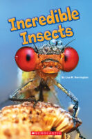 Rookie Read-About® Science-Strange Animals: Incredible Insects