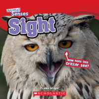 Animal Senses: Sight