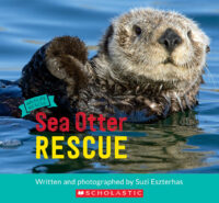 Wildlife Rescue: Sea Otter Rescue