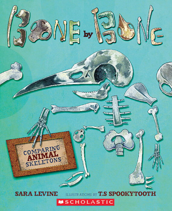 Bone by Bone