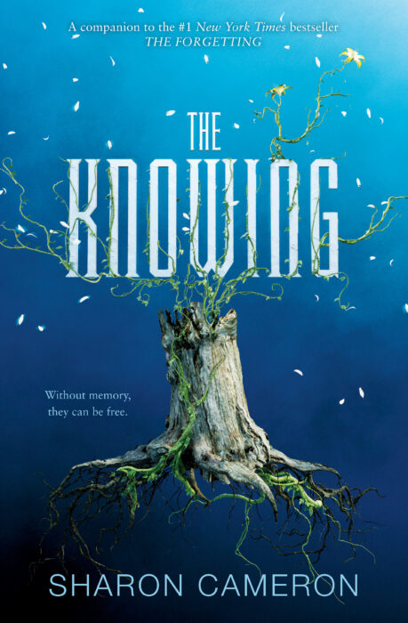 The Forgetting: The Knowing