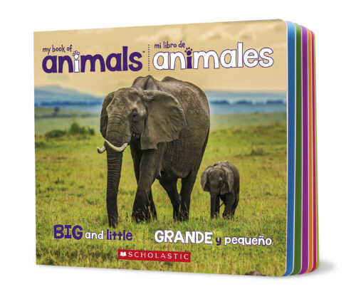 Big and Little / Grande y pequeño by Liana James | Scholastic