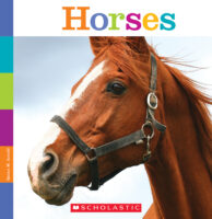 Seedlings: Horses