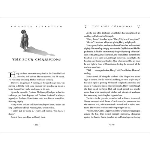 Harry potter goblet of fire pages 2025