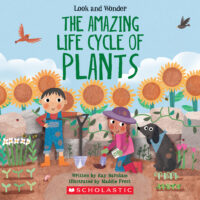 Look and Wonder: The Amazing Life Cycle of Plants