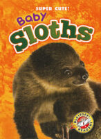 Blastoff! Readers - Super Cute!: Baby Sloths