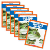 Guided Reading Set: Level B - Big and Little