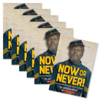 Guided Reading Set: Level Z - Now or Never!