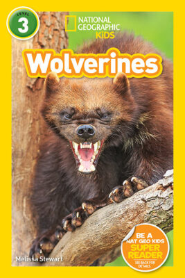 National Geographic Kids Readers: Wolverines