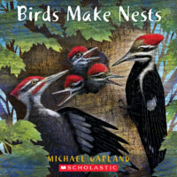 Birds Make Nests