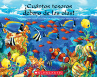 ¡Cuántos tesoros debajo de las olas!