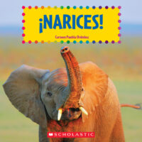 ¡Narices!