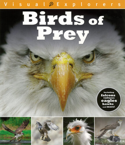 Birds of Prey - Carnegie Library of Pittsburgh - OverDrive