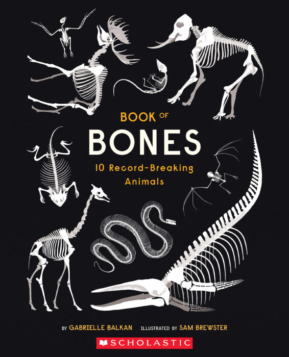 Book of Bones