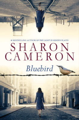 Bluebird (Hardcover)