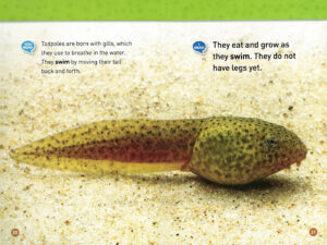 National Geographic Kids Readers: You Read, I Read Level 1