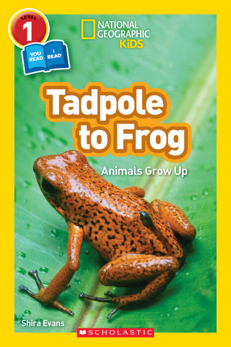National Geographic Kids Readers - You Read, I Read - Level 1: Tadpole