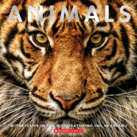Animals: Witness Life in the Wild Featuring 100s of Species