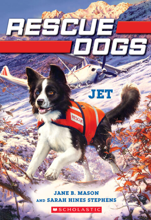 Rescue Dogs: Jet
