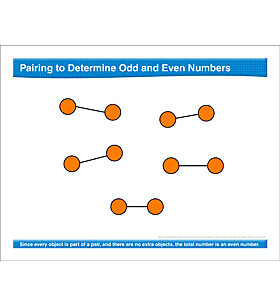 Odd And Even Number Charts And Student Worksheets Even And Odd