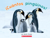 ¡Cuántos pingüinos!