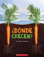 ¿Dónde crecen?