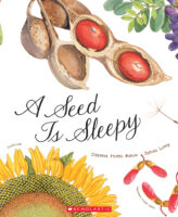 A Seed Is Sleepy