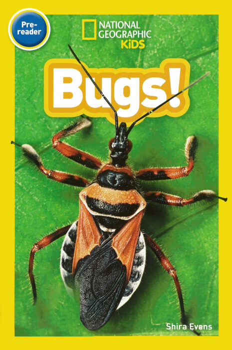 National Geographic Kids Readers: Bugs! by Shira Evans | The 