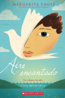 Aire encantado
