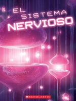El sistema nervioso