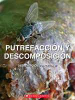 Putrefacción y descomposición