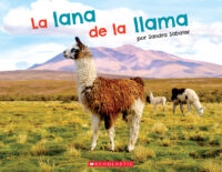 La lana de la llama