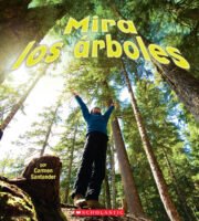 Mira los árboles