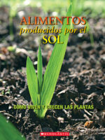 Alimentos producidos por el sol