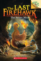 The Last Firehawk #10: The Secret Maze