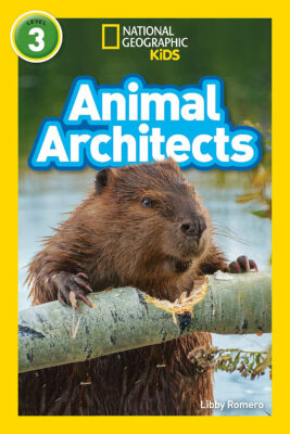 National Geographic Kids Readers: Animal Architects