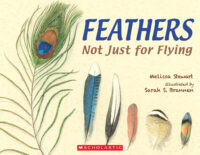 Feathers