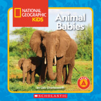 National Geographic Guided Reader - Level A: Animal Babies