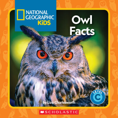National Geographic Guided Reader - Level C: Owl Facts