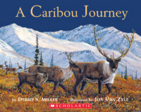 A Caribou Journey