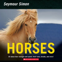 Horses