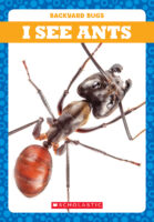 Tadpole - Backyard Bugs: I See Ants