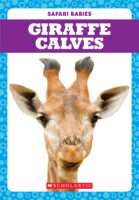 Tadpole - Safari Babies: Giraffe Calves